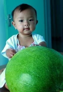 yy吃瓜网,揭秘娱乐圈最新热点，带你畅游八卦海洋