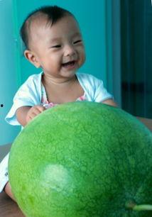 yy吃瓜网,揭秘娱乐圈最新热点，带你畅游八卦海洋