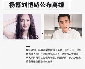 明星事件吃瓜爆料,明星事件揭秘，吃瓜群众狂欢时刻